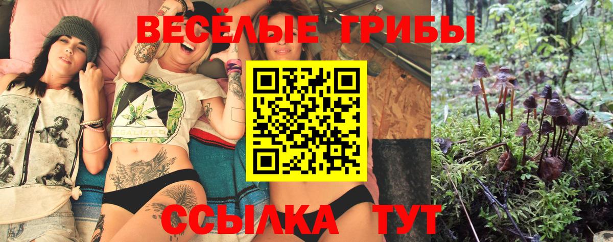 Галлюциногенные грибы мухоморы  Вход с VPN  Сегежа 